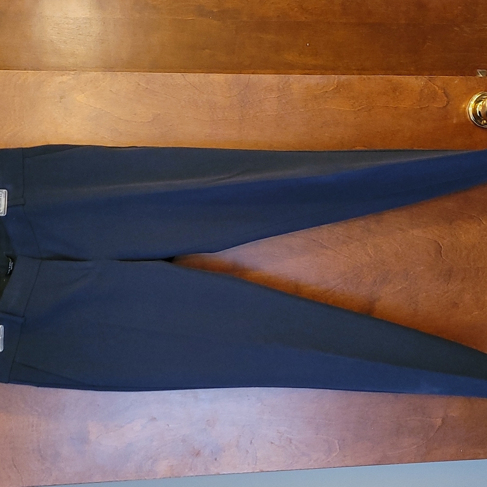 Ann Taylor Ankle Pants